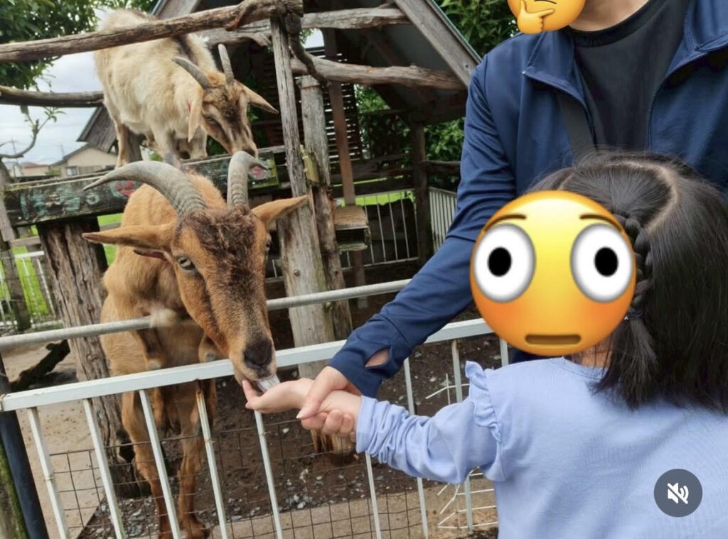 熊谷の八木原牧場に行ってきました